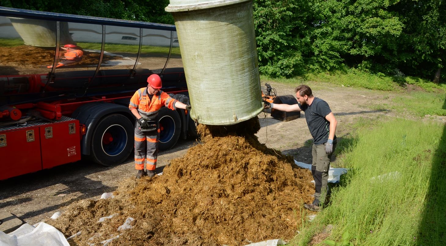 Våd biomasse